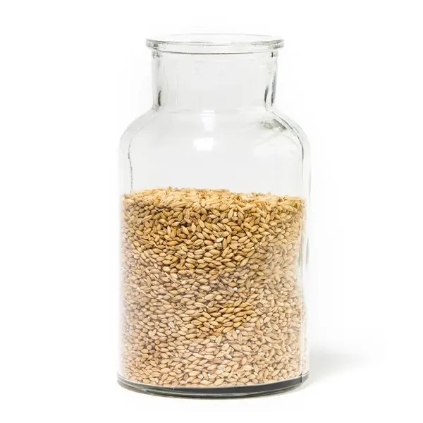 Eine Glasflasche ist teilweise mit hellbraunen Körnern gefüllt.
