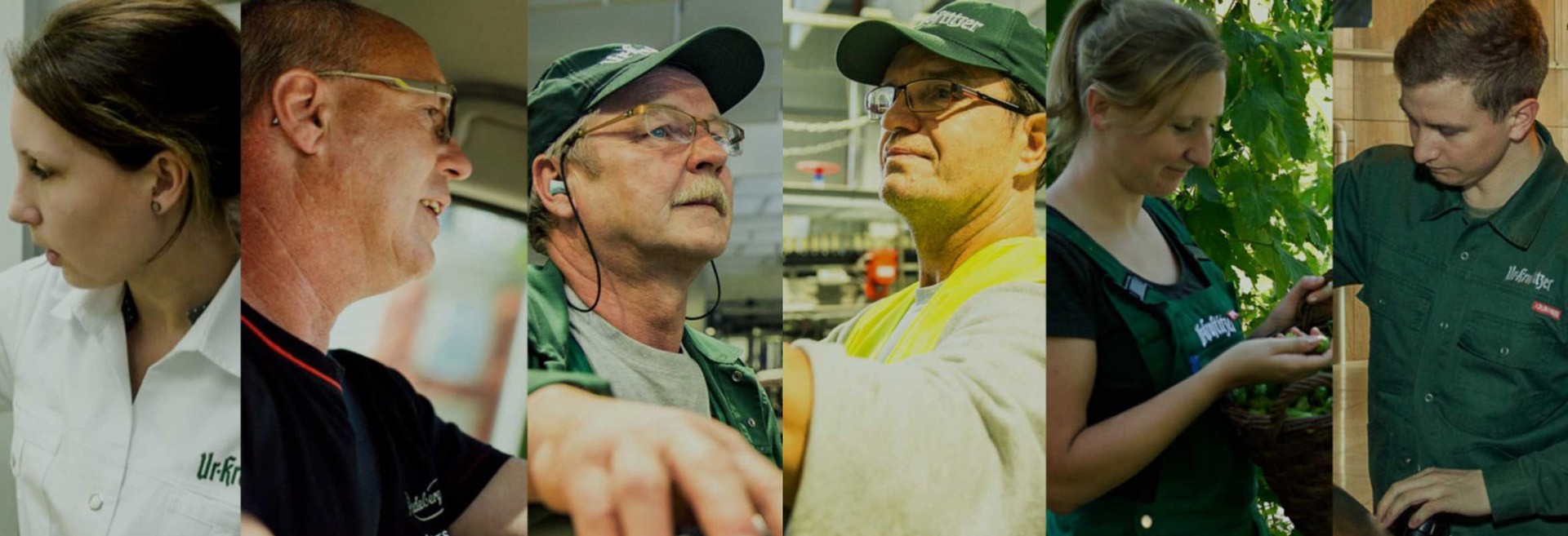 Fünf Personen bei verschiedenen Arbeitsaktivitäten, von Gesprächen bis zur Pflanzenpflege.