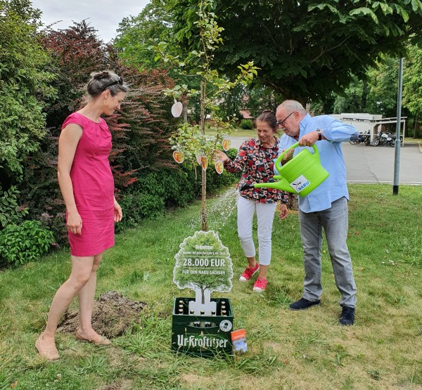 Drei Personen stehen um einen neu gepflanzten Baum, eine gießt Wasser aus einer Kanne.