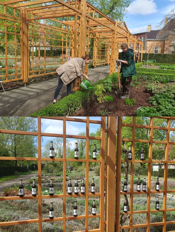 Zwei Personen arbeiten in einem Garten, die eine gießt Pflanzen und die andere gräbt Erde um.