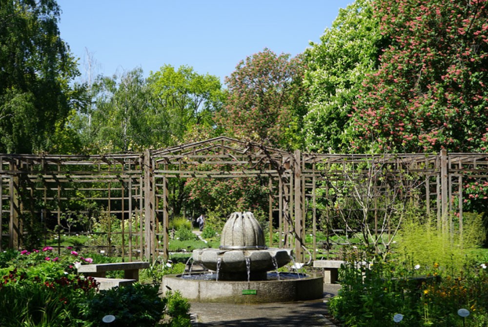 Ein blühender Garten mit einem zentralen Brunnen umgeben von hohen Bäumen und grünen Sträuchern.