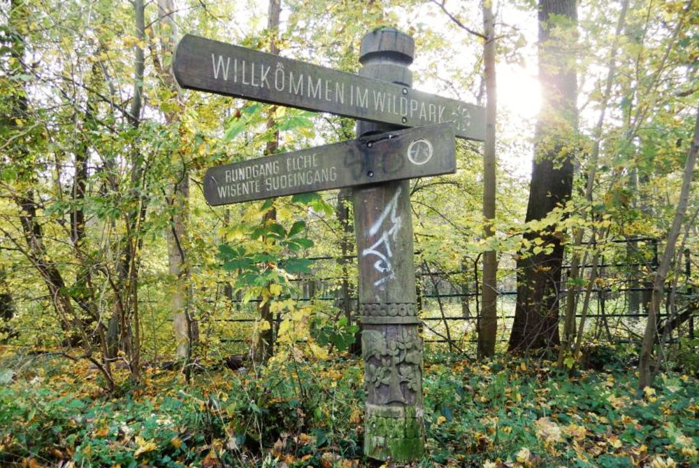 Ein Holzschild im Wald weist den Weg im Wildpark mit der Aufschrift Willkommen. Herbstliches Laub umgibt den Pfad.