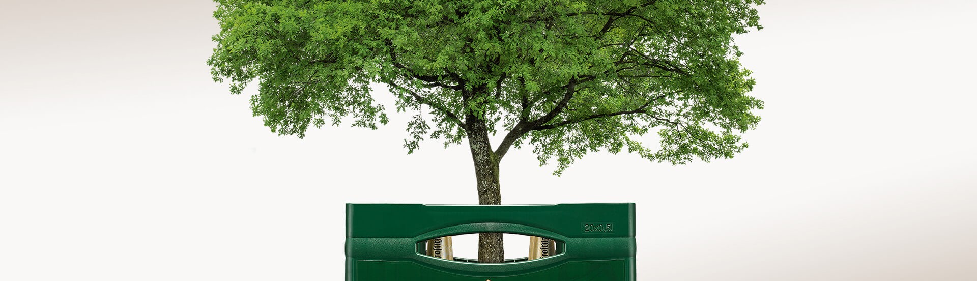 Ein großer Baum steht hinter einer grünen Parkbank mit integriertem Bücherregal.