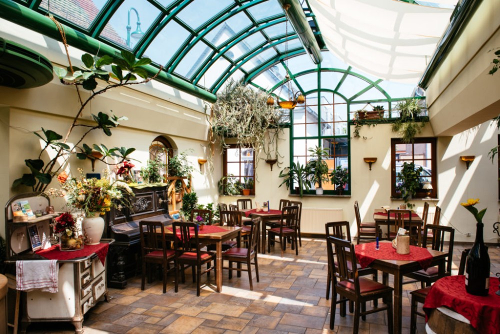 Ein helles Wintergartenrestaurant mit grünen Pflanzen und mehreren Holztischen.