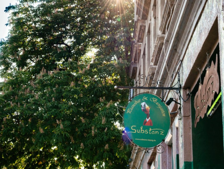 Sonnenlicht fällt durch die Blätter eines großen Baumes auf ein Ladenschild über einer Schaufensterfront.
